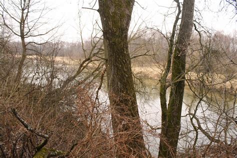 Kraina Wędrujących Wysp W rezerwacie przyrody Ruska kępa