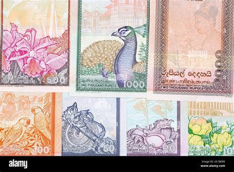 Banknoten von sri lanka Fotos und Bildmaterial in hoher Auflösung Alamy