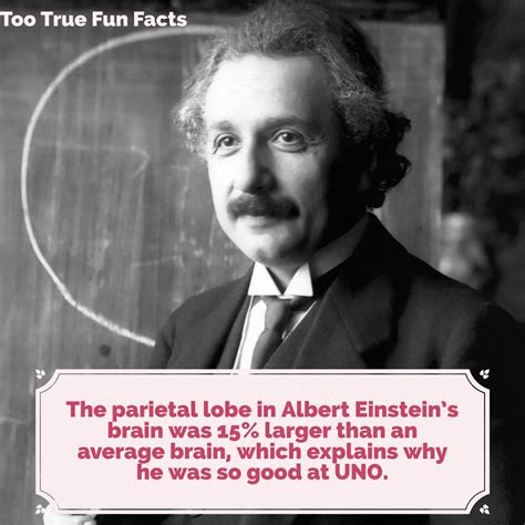 Too True Fun Facts — Albert Einstein Fun Fact