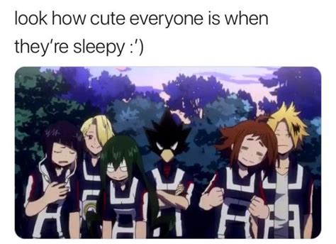 Pin By Theinsaneone On My Hero Academia My Hero Academia Shouto My Hero Academia Memes My