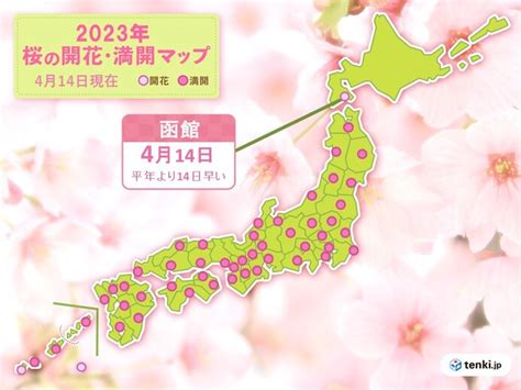 北海道 函館で桜開花 史上最も早い開花に気象予報士 今井 希依 2023年04月14日 日本気象協会 Tenkijp