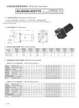 Moteur Dc Zy Zhejiang Dongzheng Motor Co Ltd Balais