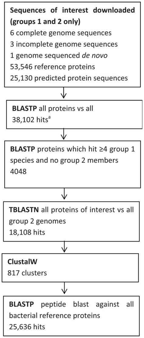 Summary Of The Steps Involved In The Bioinformatic Pipeline Showing