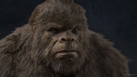 BIGFOOT VS DOGMAN who you betting : r/bigfoot