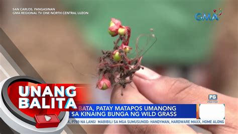 Anyos Na Bata Patay Matapos Umanong Malason Sa Kinaing Bunga Ng Wild