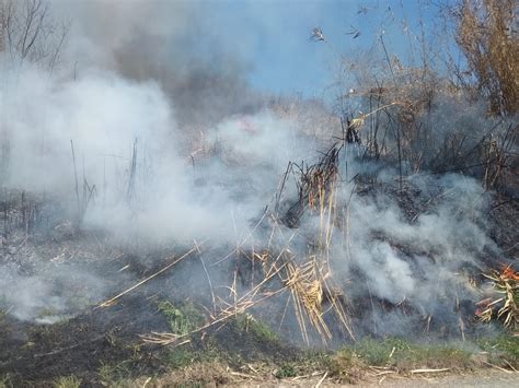 Dichiarato lo stato di massima pericolosità per incendi boschivi in