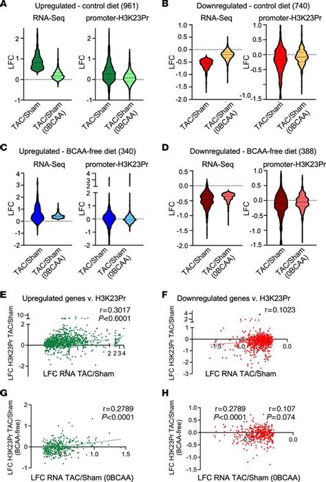 JCI Reducing Branched Chain Amino Acids Improves Cardiac Stress