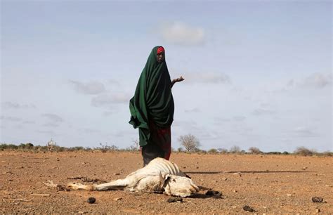 Una Persona Muere De Hambre Cada 36 Segundos En África