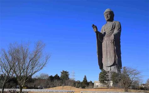 Giant Buddha Statues In The World You Must Visit Chinaplanning