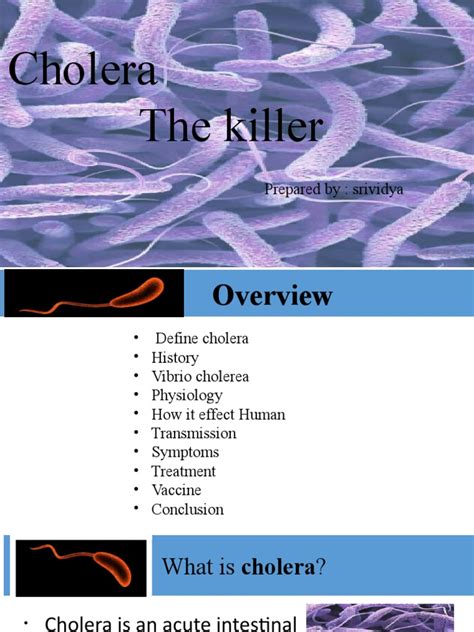 Cholera The Killer: Prepared By: Srividya | PDF | Cholera | Pandemic