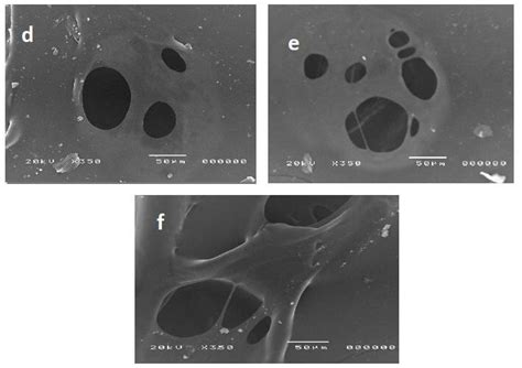 Scanning Electron Micrograph Of Chitosan G Poly Aac A B And C