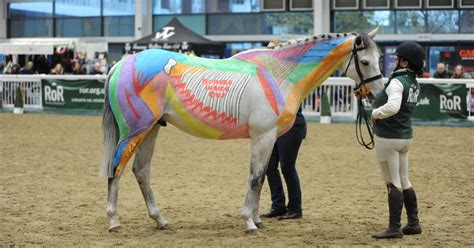 Successful First RoR Showcase - Retraining of Racehorses