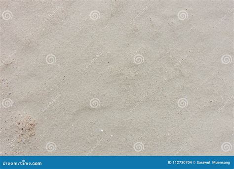 Sandy Soil Texture Background. Stock Photo - Image of fresh, garden: 112730704