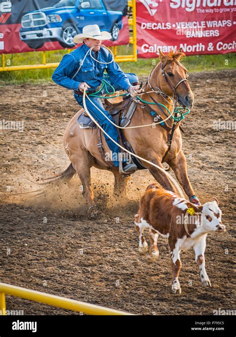 Brown Western Cowboy Lasso Rope Hi Res Stock Photography And Images Alamy