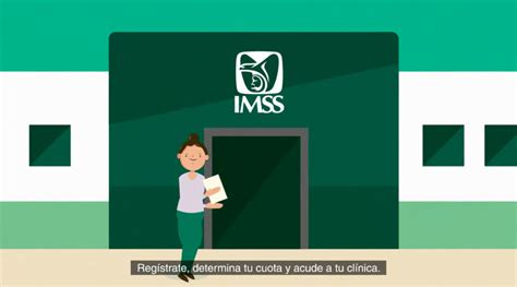 Conoce CÓmo Dar De Alta A Un Trabajador En El Imss