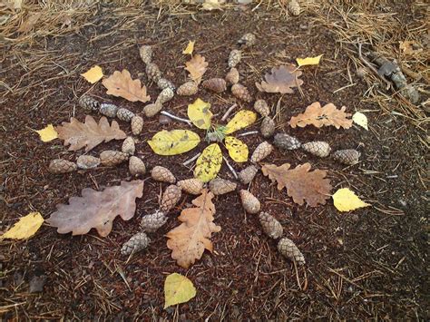 Pin By Jamie Lamarche On Outdoorsing Nature Collage Land Art Nature