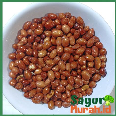 Jual Kacang Tanah Goreng Gr Kacang Tanah Matang Bumbu Baru