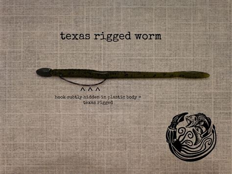 Texas Rig Fishing Tips To Catch More Bass Fishing Tips Bass