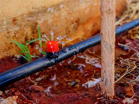 Drip Irrigation Kits In Kenya Aqua Hub Kenya