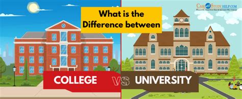 What Is The Difference Between College And University