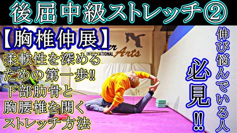 【後屈中級ストレッチ②】伸び悩んでいる人に試して欲しい柔軟方法【ブリッジ】【鳩のポーズ】【倒立】 Youtube