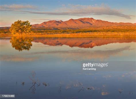 Cottonwood Lake National Wildlife Refuge Photos And Premium High Res