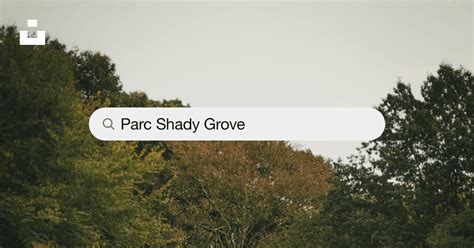 Parc Shady Grove Photos Télécharger Des Images Gratuites Sur Unsplash