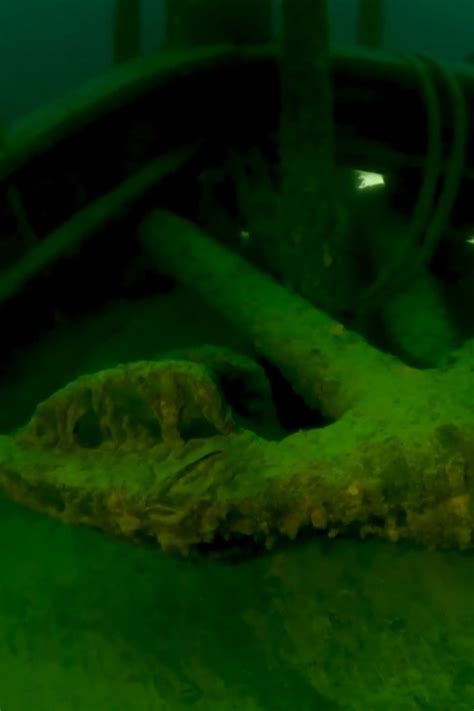 Haunting At Lake Erie Pictures Rotten Tomatoes