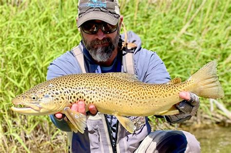 Salt Lake City Fly Fishing Photography Jeremy Allan Utah Fly Fishing