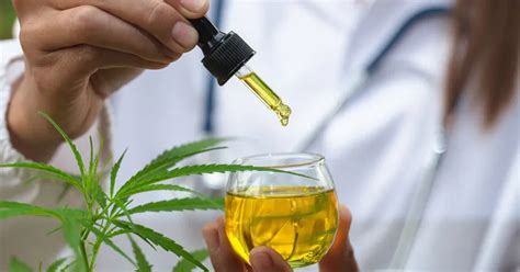 Los Efectos Secundarios Del CBD Seguridad Y Eficacia Del Cannabidiol