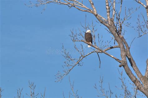 Wildlife Habitat At Loess Bluff National Wildlife Refuge Stock Photo