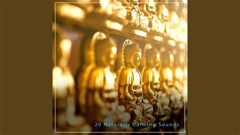 Tranquil Binaural Sounds Youtube