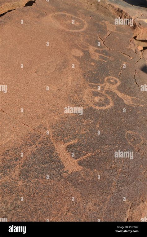 Bushman Prehistoric Rock Engravings At The Unesco World Heritage Center