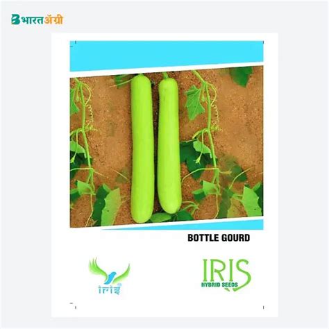 Iris Hybrid F1 Bottle Gourd Seeds Free Home Delivery Bharatagri Krushi Dukan