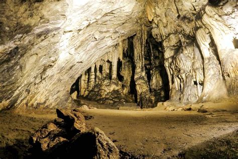 Entradas Cueva De Ardales Con Visita Guiada Turismo Interior De M Laga