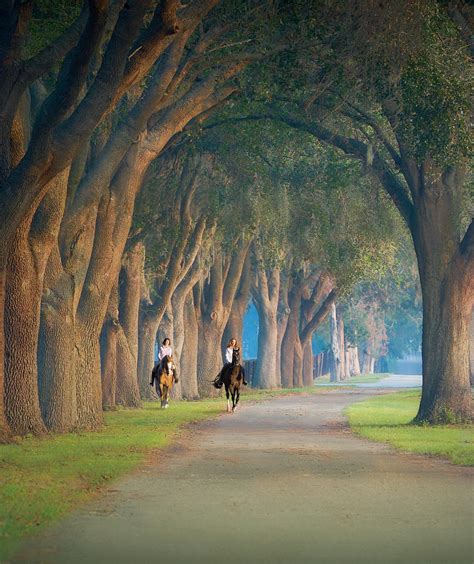 Ocala Magazine December 2022 Digital Issue by ocalamag - Issuu