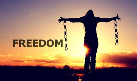 Freedom From Shackles Vince Gerhardy