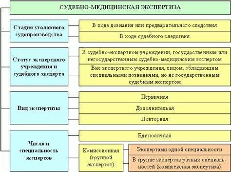 Судебная Экспертиза Реферат - sunrisespecification