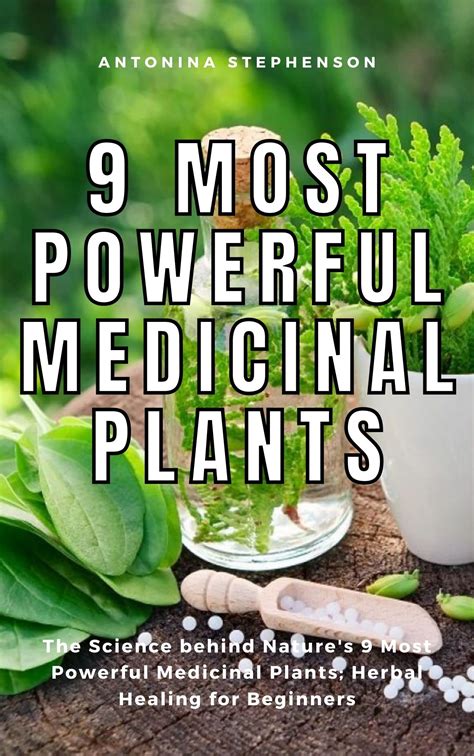 Most Powerful Medicinal Plants The Science Behind Nature S Most