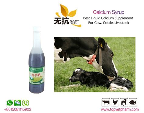 Fast Calcium Supplement For Cattle Sheep Livestock