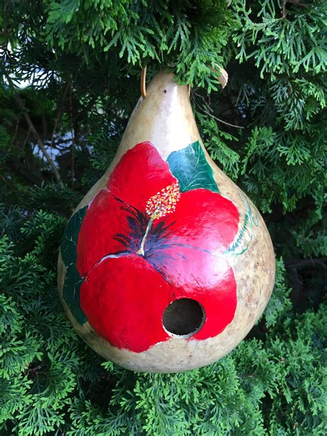 Hand Painted Gourd Birdhouse Red Hibiscus Flower Etsy Canada Hand