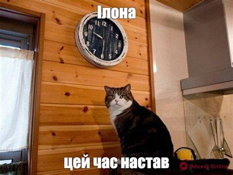 Мем: "Ілона цей час настав" - Все шаблоны - Meme-arsenal.com