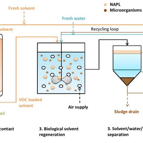 Absorption -biodegradation process with organic phase regeneration for ...