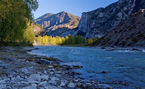 Altai Mountains River - Free photo on Pixabay - Pixabay