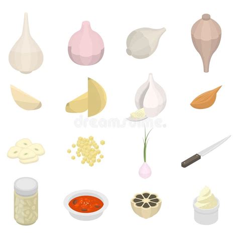 Garlic Icons Set Isometric Style Stock Vector Illustration Of Fresh