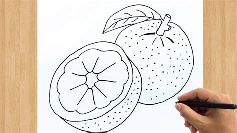 How To Draw An Orange Fruit Easy Step By Step Orange Drawing Tutorial