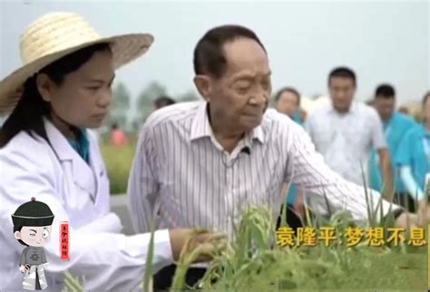 杂交水稻之父袁隆平：中国粮食不够吃光大豆就要进口七八千万吨凤凰网