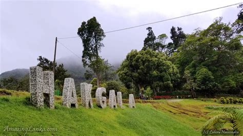 Hakgala Botanical Garden | AmazingLanka.com