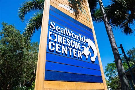 Seaworld Rescue Center Seaworld Orlando Discount Tickets Undercover