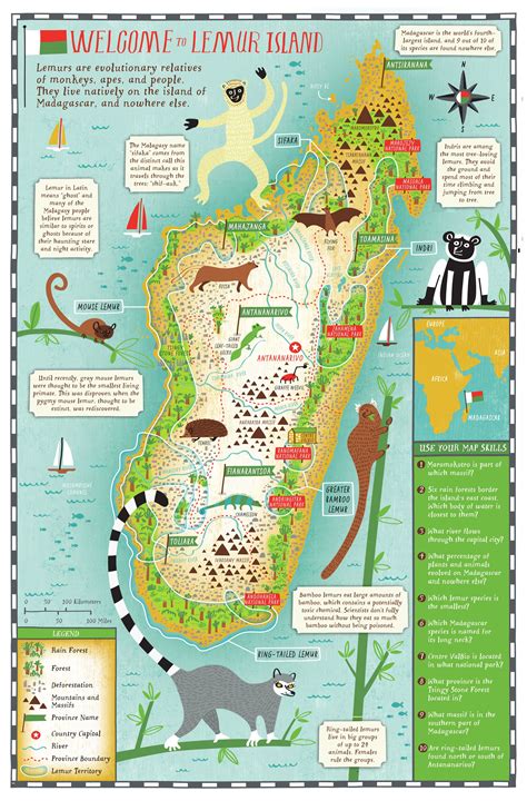 Inspire Lemur Learning In Your Classroom With The Island Of Lemurs